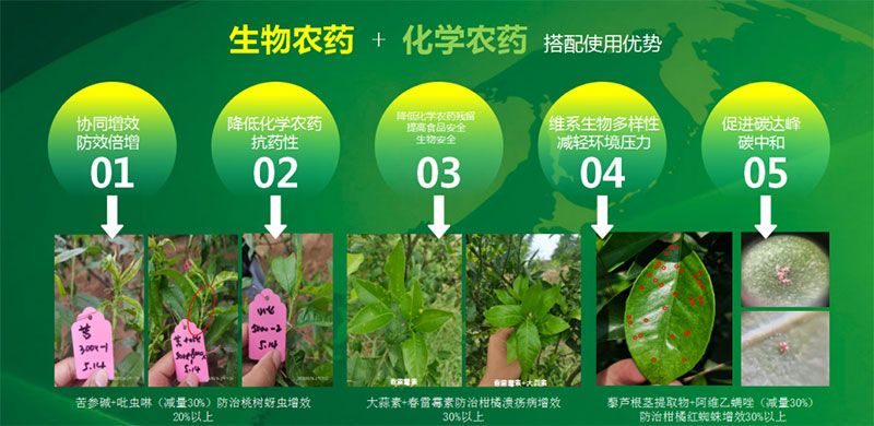 新朝陽在第六屆中國農藥行業(yè)市場和銷售高峰論壇做“生物農藥+化學農藥，引領植保市場未來”主題報告