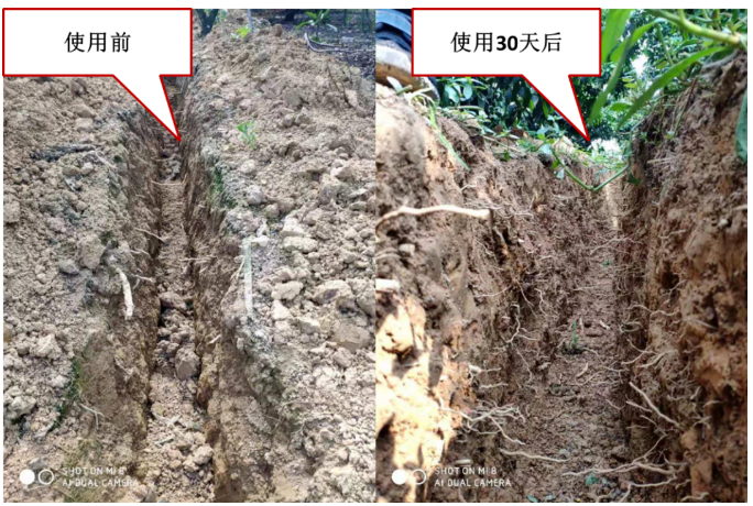 “土壤板結(jié)克星”：土壤調(diào)理劑你了解多少？